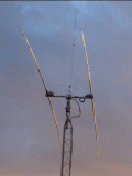 w9lp-antenna