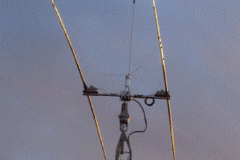 w9lp-antenna